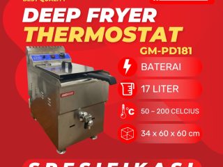 Deep Fryer GM-PD181