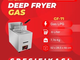 Deep Fryer Gas GF-71