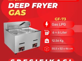 Deep Fryer Gas GF-73