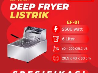 Deep Fryer Listrik EF-81
